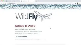 Download and setup Wildfly server