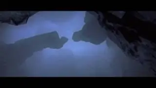 FW