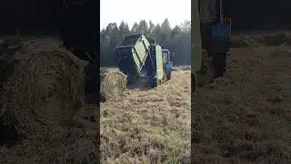 18 августа 2024 г.