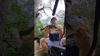 That's a good one right there!  #bassfishing