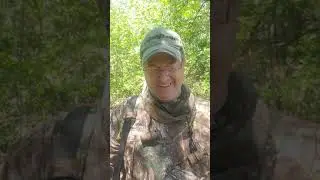Lessons From The Woods (#1)