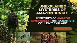 Mysteries of Amazon Jungle | Strangest Things Found In The Amazon Jungle | Amazon Jungle