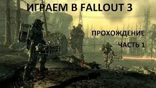Playing in Fallout 3