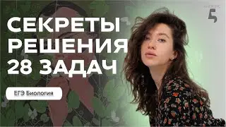 ЕГЭ ПО БИОЛОГИИ 2025 ДЛЯ 10 КЛАССА: ВСЕ СЕКРЕТЫ РЕШЕНИЯ 28 ЗАДАЧ