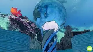 One Ocean - SeaWorld Yas Island, Abu Dhabi