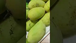 VERY DELICIOUS MANGOES PHILIPPINES.
