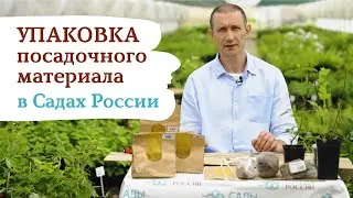 Упаковка посадочного материала в 