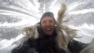Avalanche Awareness Day | Happy tree shaking!