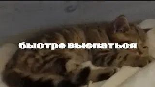 [𝐒𝐥𝐞𝐞𝐩] Быстро выспаться саблиминал♡