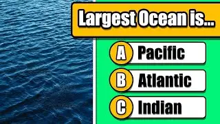 General Knowledge Quiz - Only 1% Can Answer All
