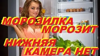 Проблема холодильника NORD - Главная причина почему морозилка морозит, а нижняя камера нет?