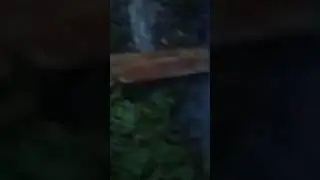 2 октября 2023 г.