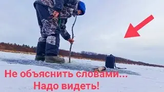 ВЛИП! Чудеса какие-то... Пришёл ловить рыбу, но такое я не ожидал увидеть. Рыбалка у ИЗБЫ.
