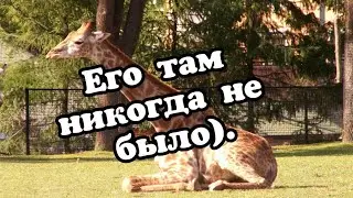 Курорт Боровое. Зоопарк в Боровом. Бурабай. Где отдохнуть в Боровом. Ак-бура.