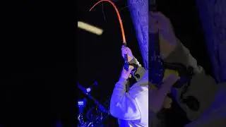 Bruh... #fish #fishing #bigfish #fishingvideo #youtubeshorts #short #catfish #flathead