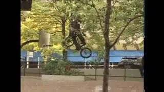 Animal Bikes: 