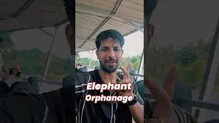 ELEPHANT 🐘 Bathing in Sri Lanka 🇱🇰 😍