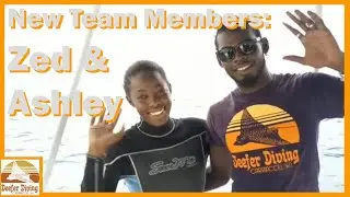 The Dive Shop (Ep. 27) Welcoming The New Team