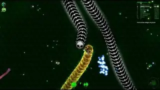 Wormax.io | Trust