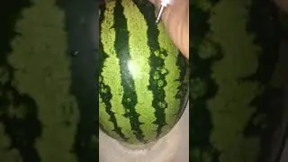 НИТРАТЫ В АРБУЗАХ