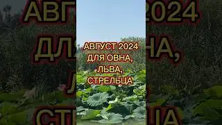 АСТРОПРОГНОЗ 2024 для ОВНА, ЛЬВА, СТРЕЛЬЦА #гороскопнаавгуст #овен2024 #лев #стрелец #знаки_зодиака