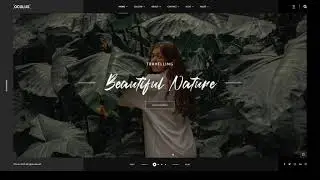 Oculus - Photography WordPress Theme agency photography Easy Create Website