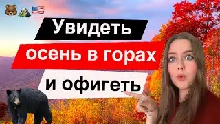 Отдых в горах в США | Как даже бюджетные туристы тратят кучу денег 💸💸💸