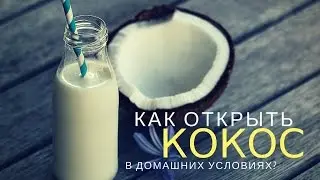 How to open a coconut without a hammer at home?