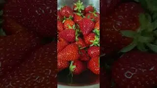 Пора клубники!
