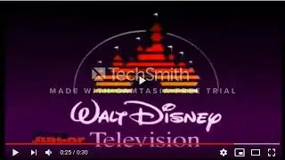 Gracie Films / Walt Disney Television / Buena Vista International, Inc. (1985)