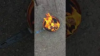 День экспериментов
