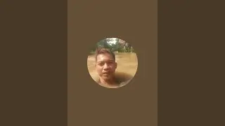 Vlog