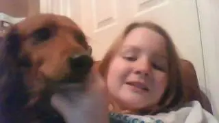 Emo dog!