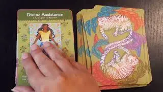 Oracle Review   Divine Beloved Oracle Cards by Tosha Silver