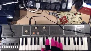 Cat in the Bag Casio MT41 40 Selg Teng Riddim