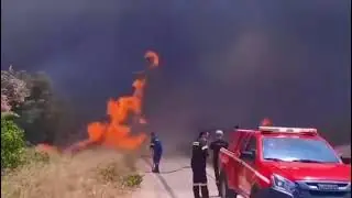 Forest fire in Greece reached the outskirts of the capital Athens