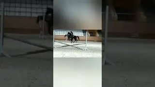 Лайфик,треня
