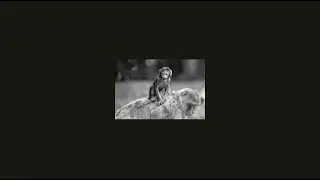 Grayscale Hover Effect | CSS Tutorial