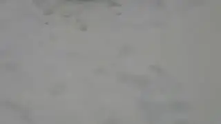 Вот это улов!!!!(ПРИСУТСТВУЕТ НЕЦЕНЗУРНАЯ БРАНЬ)