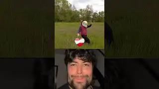 мистер бомбастик бомба фантастик теризина 