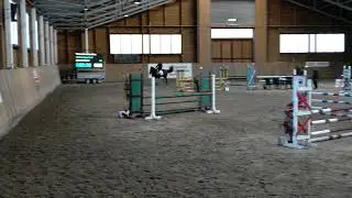 29.10.2017 Kwidzyn Brador L