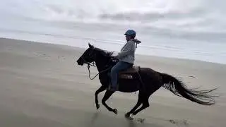 Michelle Neville cantering Smokey 7/17/24