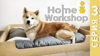 Home Workshop 3. Збираємо ліжко для собаки. Чи задоволений Томо?