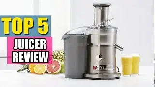 Best Juicers in 2020 - Top 6 Juicer Picks