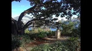 UNSW Study Abroad Student Experience From The Netherlands