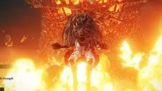 “Wait, they can do that?” - Elden Ring DLC