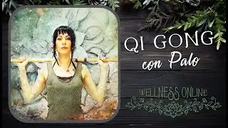 WELLNESS ONLINE - Qi Gong con palo (Voz en castellano, english subtitles)