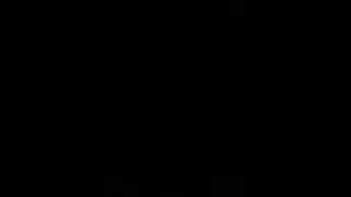 Copeland Scroll Compressor Noise