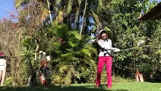 Golf & Pet não combinam…