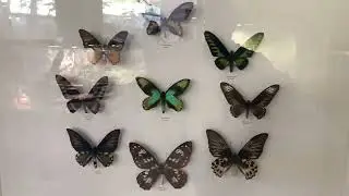 Экзотариум Пятигорск